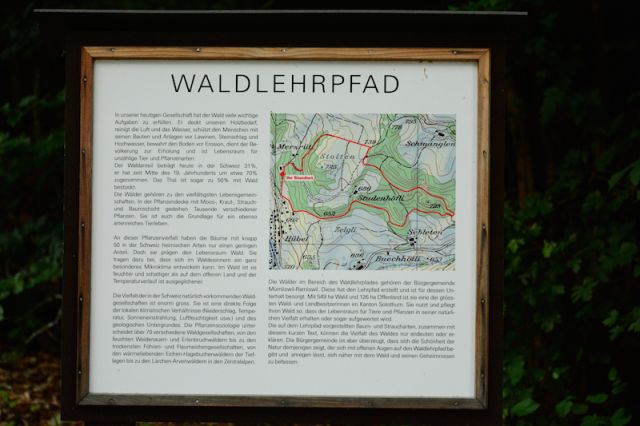 Waldlehrpfad Mümliswilb