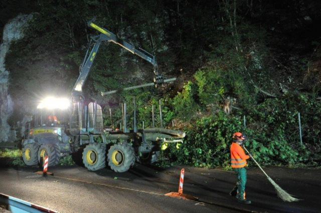 Holzen entlang von Strassen