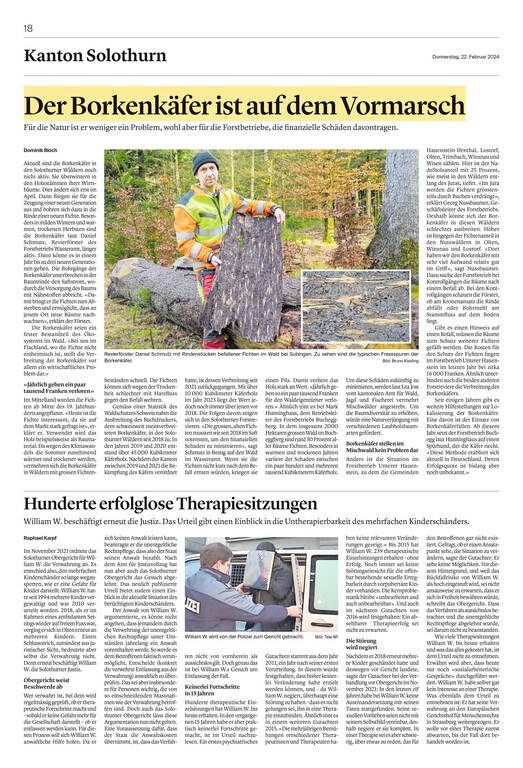 Der Borkenkäfer ist auf dem Vormarschbild 01