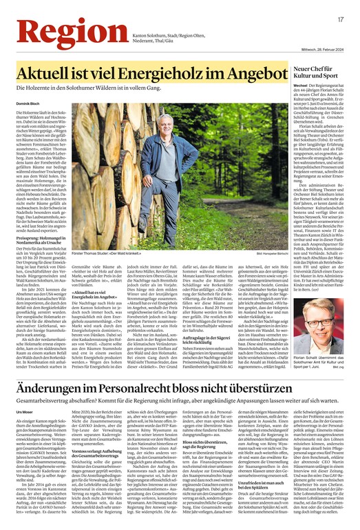 Aktuell ist viel Brennholz im Angebotbild 01