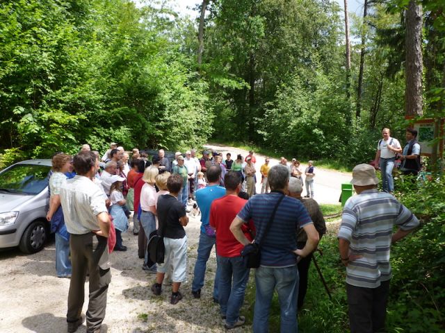 Waldgang Balsthal 2009