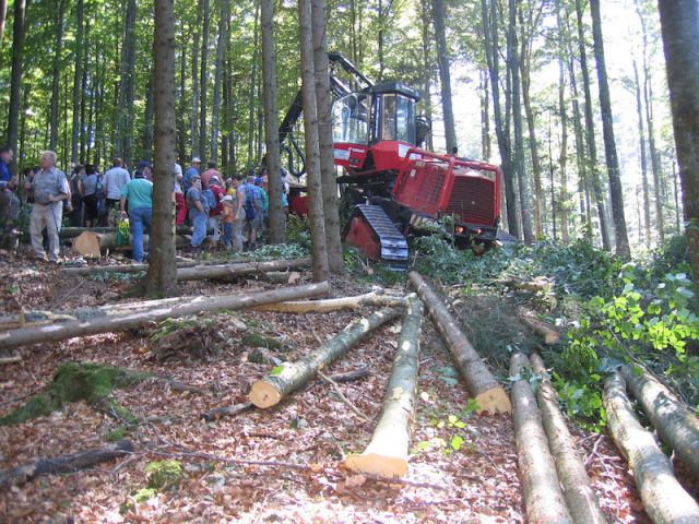 Waldgang Mümliswil 2008 15
