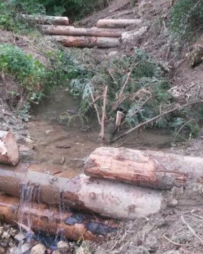 2015 Egglenbächli 2. Tranche Balsthal