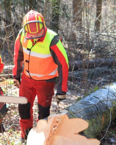2015 Rosanna mit unserem Förster im Fernsehen