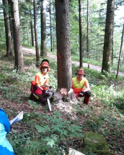 2011 Sabine Dahinden, Fernsehmoderatorin fällt Baum