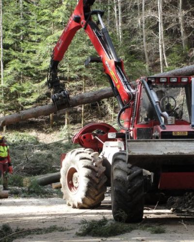 2015 Schutzwaldeingriff Breitenhöchi