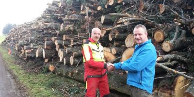 Holz für Hackschnitzel