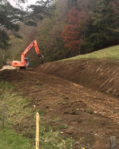 2017 Schutzwald Projekt Sunneberg im Guldental