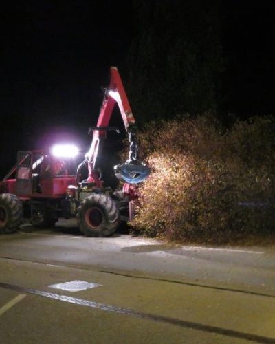 2016 Sicherheitsholzerei für die Kantonsstrasse