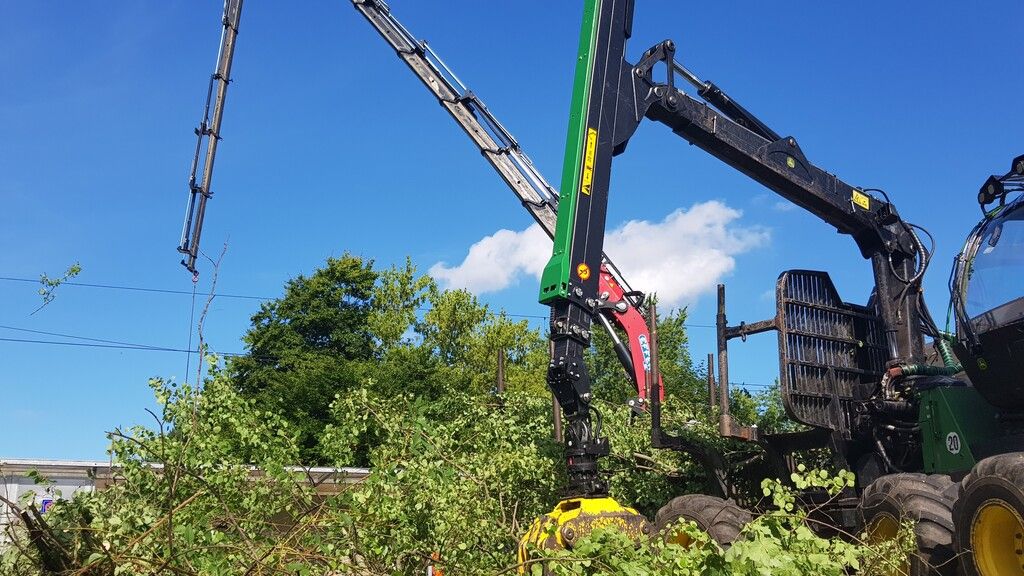 2020 Sicherheitsholzerei OeBBbild 04