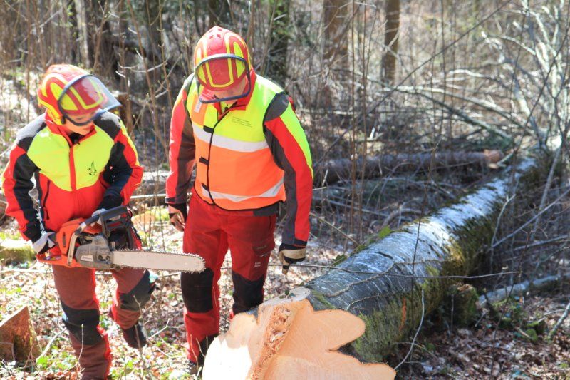 2015 Rosanna mit unserem Förster im Fernsehen