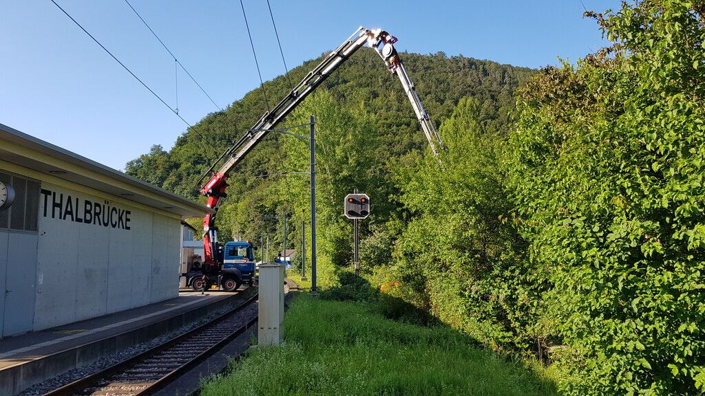 2020 Sicherheitsholzerei OeBB