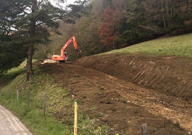 2017 Schutzwald Projekt Sunneberg im Guldental