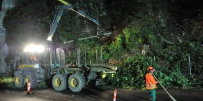 Holzen entlang von Strassen