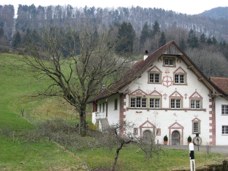 2008 Mühle Ramiswil, Nussbaum