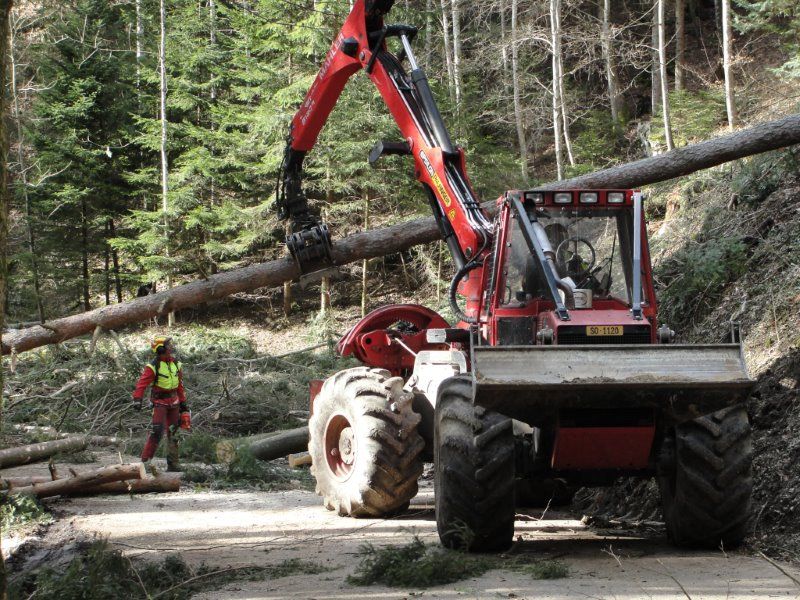 2015 Schutzwaldeingriff Breitenhöchi