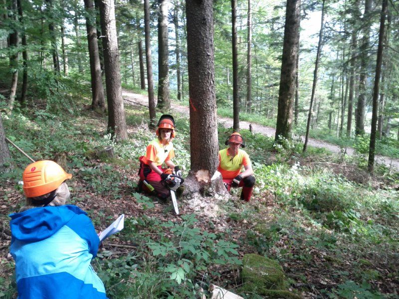 2011 Sabine Dahinden, Fernsehmoderatorin fällt Baum