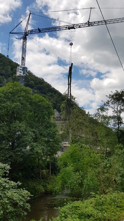 2020 Sicherheitsholzerei OeBBbild 02